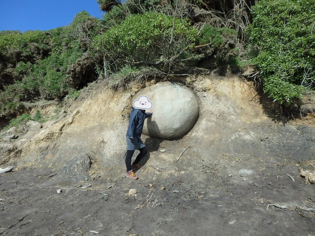 オアマル観光 モエラキボルダー 巨大な球岩が並ぶ海岸線