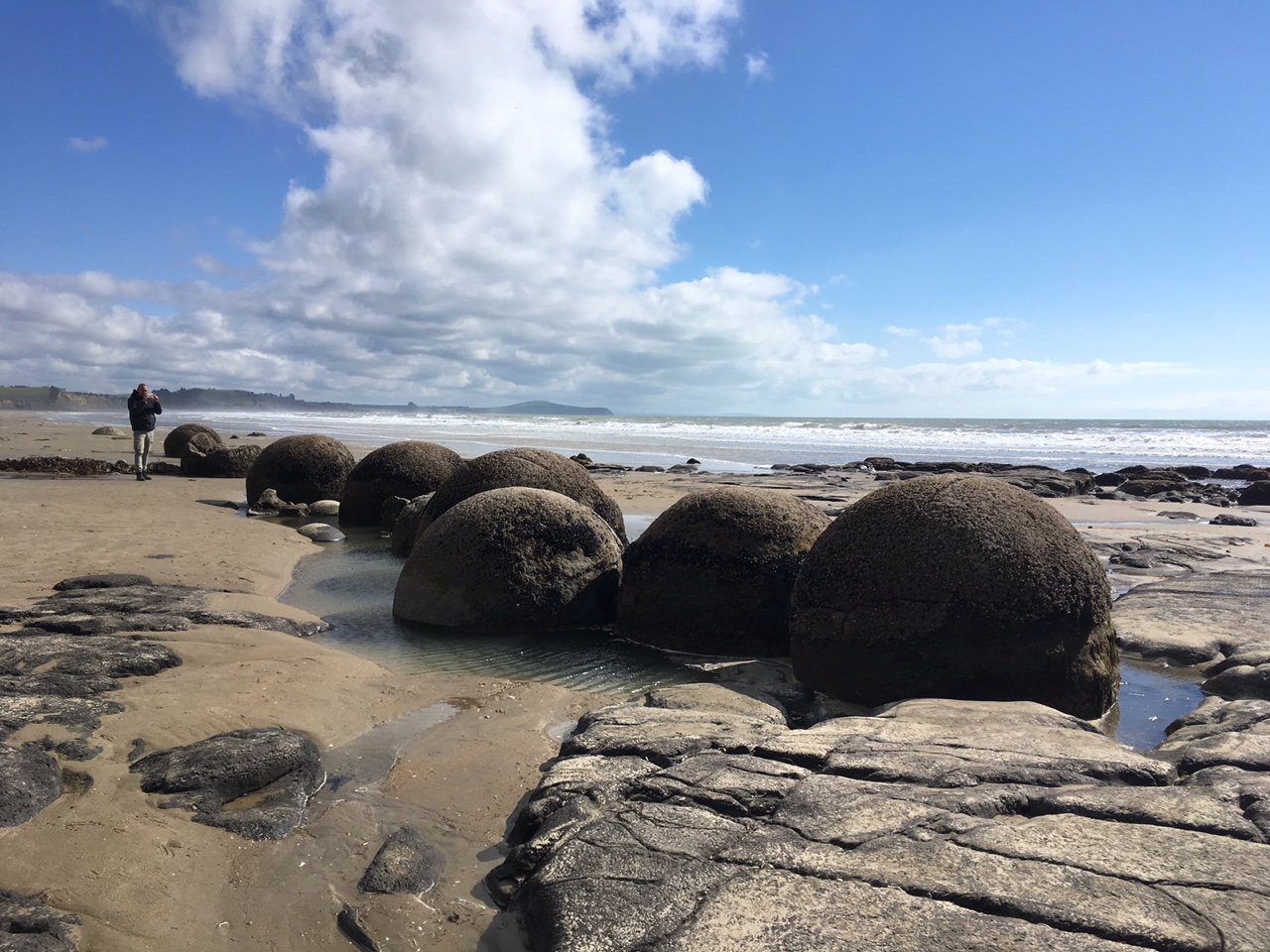 オアマル観光 モエラキボルダー 巨大な球岩が並ぶ海岸線